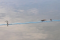 13 02 13_Egypt_0872_edited-1